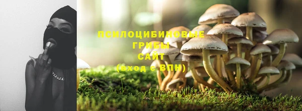 МДПВ Армянск
