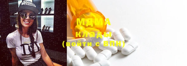 индика Аркадак