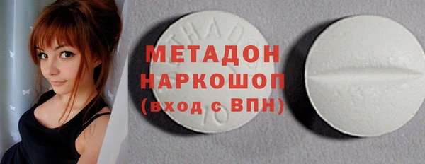 индика Аркадак