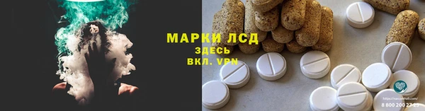 индика Аркадак