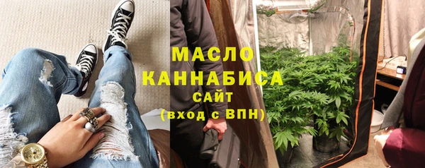 индика Аркадак
