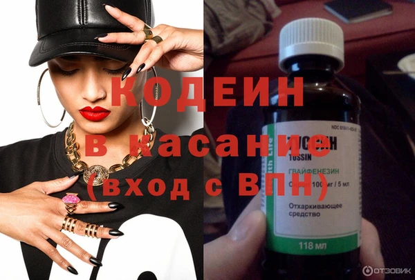 индика Аркадак