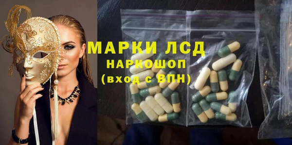 индика Аркадак