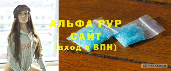 индика Аркадак