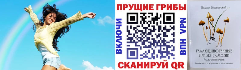 Псилоцибиновые грибы мухоморы  Моздок 